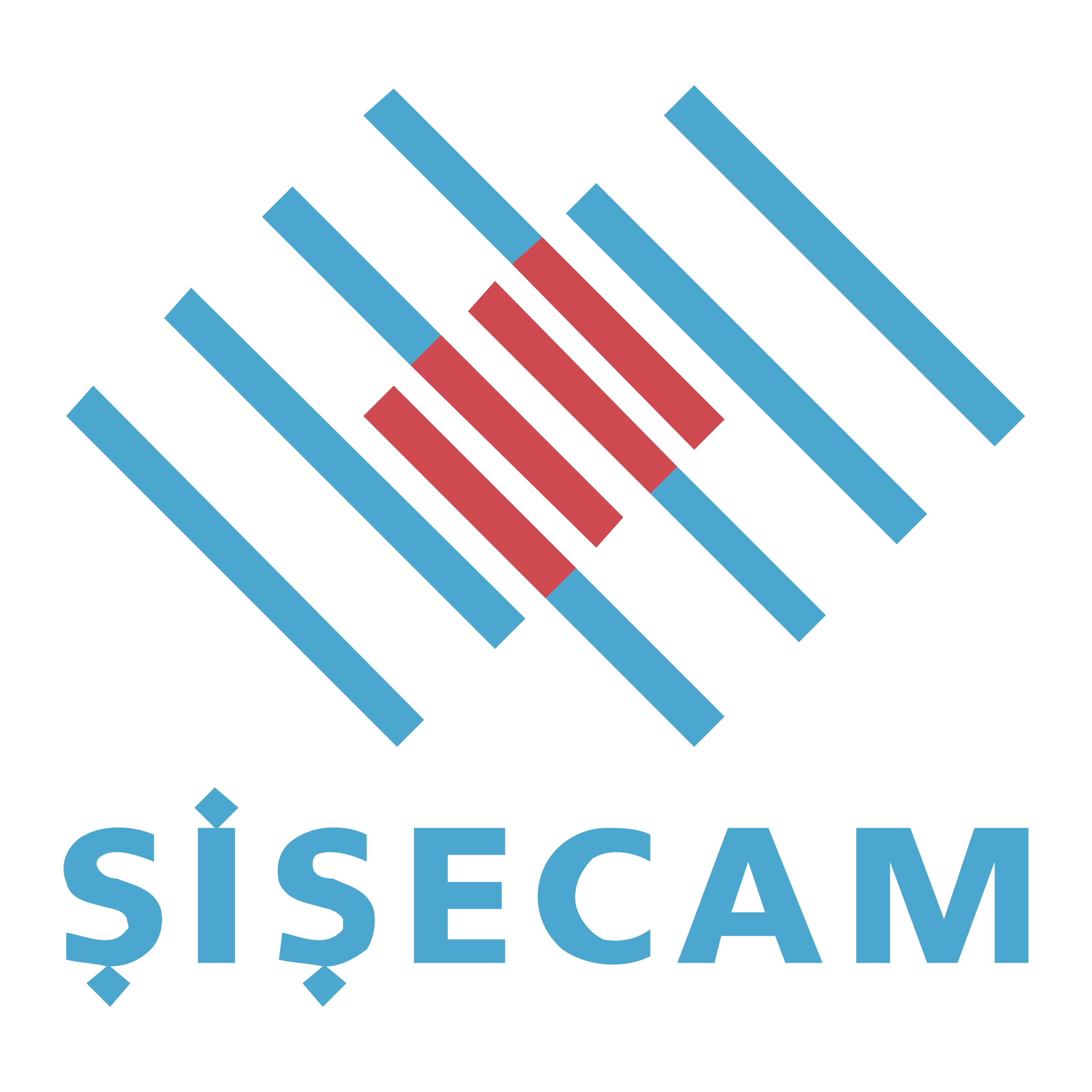 Şişecam